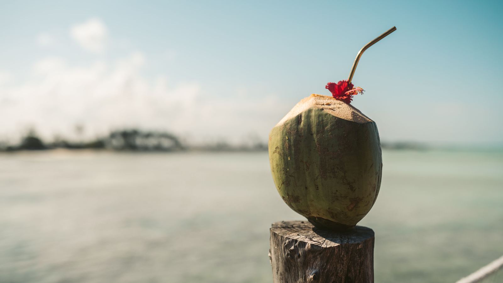 Fresh coconut drink with a floral garnish on a Zanzibar beach